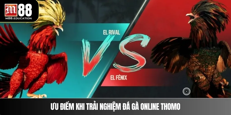 Ưu điểm khi trải nghiệm đá gà online Thomo