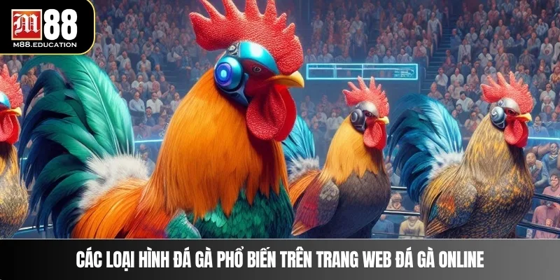 Trang Web Đá Gà Online - Trải Nghiệm Đấu Trường Kịch Tính 3 Các loại hình đá gà phổ biến trên trang web đá gà online