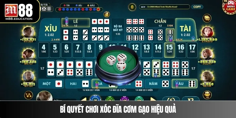 Bí quyết chơi xóc đĩa cơm gạo hiệu quả